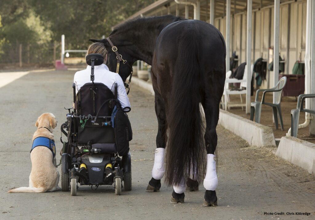 Stefanie sits in a wheelchair beside her yellow labrador service dog, gently holding the reins of a black horse. They are outdoors near some stables, with empty chairs and trees in the background, creating a heartwarming story.