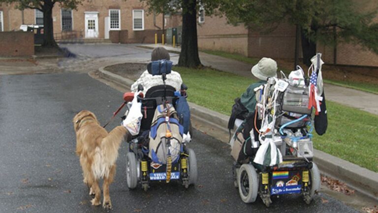 Two people in electric wheelchairs travel down a paved path with a golden retriever. Their chairs display bags, flags, and personal belongings. Trees and buildings line the background, capturing a moment from Jenis Story.