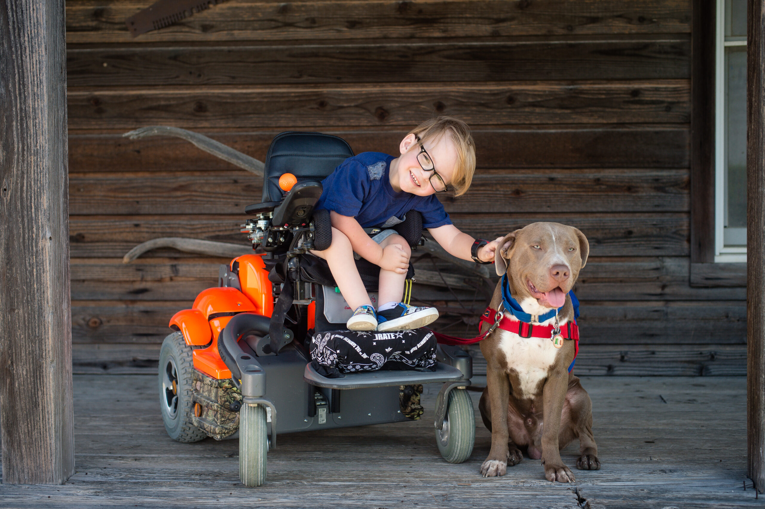 A smiling young child in a pediatric mobility chair pets a large brown dog with a red harness, sitting together on the wooden porch of a rustic building.