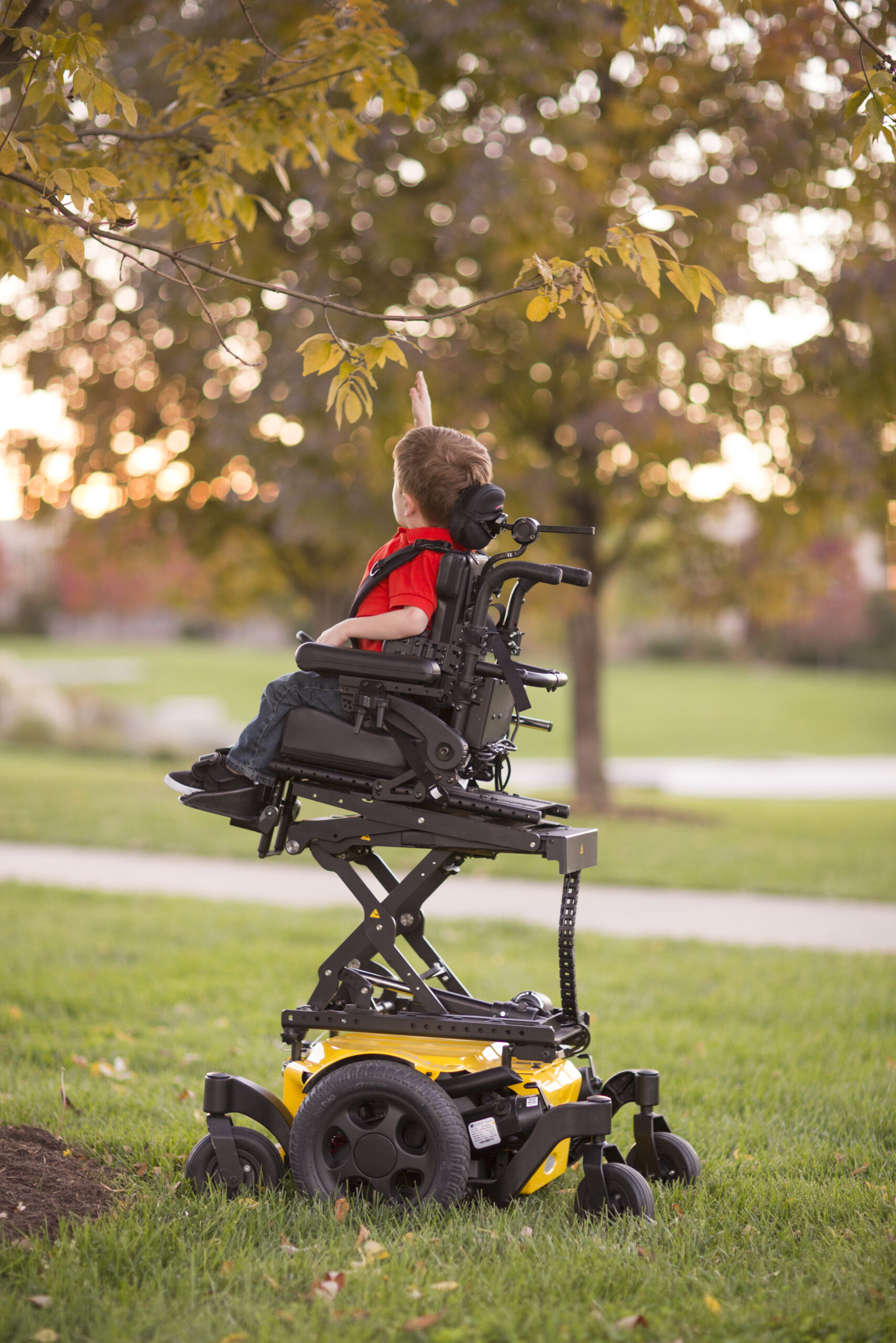 A young boy in a yellow power wheelchair with Power Seat Elevators is reaching up to touch the leaves of a tree branch in a park during sunset.